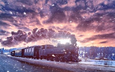 Cryptopia Suits Gather Steam as Another Failed Exchange Is Bound for Court