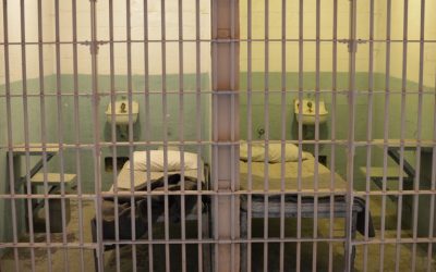 Ross Ulbricht Letter Questions the Wisdom of Imprisoning Non-Violent Offenders