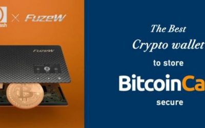 PR: FuzeW Launches Special BCH Cold Wallet Summer Promo