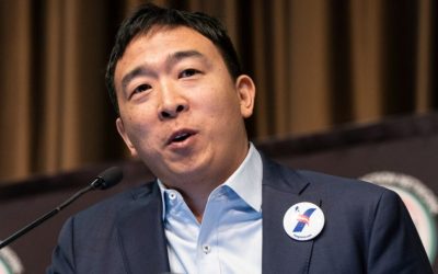 Elon Musk Supports Yang – But Does Andrew Yang Really Support Bitcoin?