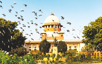 Indian Supreme Court Heard Crypto Case in Depth Today