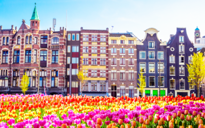 Dutch Central Bank Prepares to Start Regulating Crypto Sector