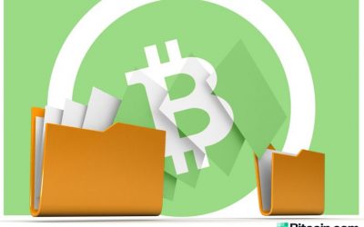 Bitcoin Cash-Powered File Storage Concept Sparks Interest and Debate