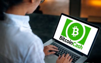 Running Bitcoin Cash: An Introduction to Operating a Full Node