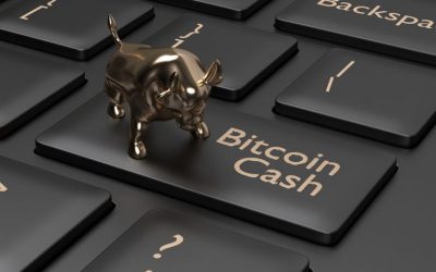 Crypto Investment Group Grayscale Releases Bitcoin Cash Primer