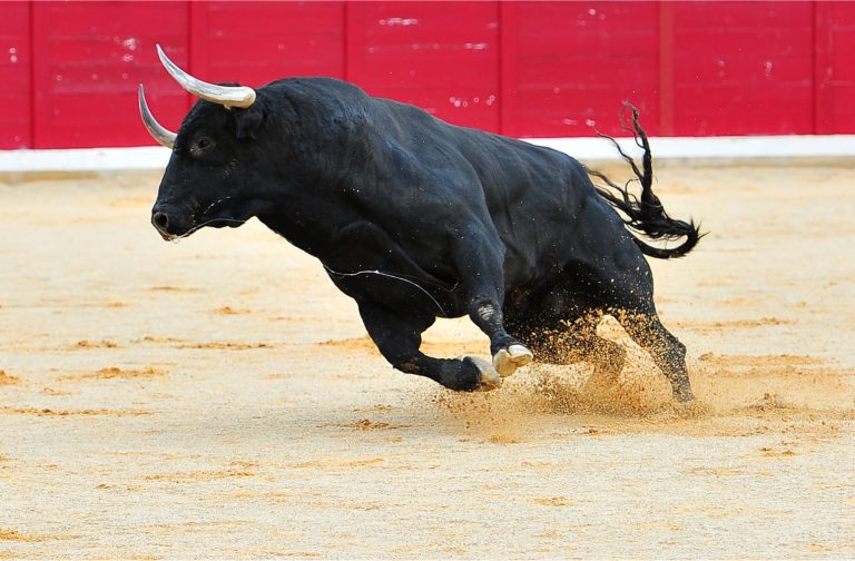 Speculation Abounds Over the Cause of Bitcoin’s Recent Rally