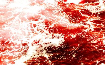 Market Update: Cryptos Shed Billions in Rapid Sell-Off