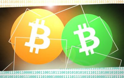 Coinex Chain Launches Two Tokens Anchored to BTC and BCH