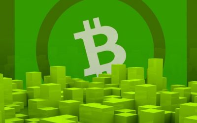 What to Expect From the Next Bitcoin Cash Protocol Upgrade