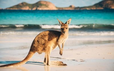 Kraken Acquires Australian Crypto Platform Bit Trade