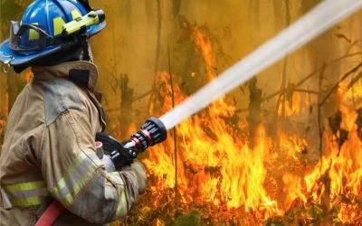Binance Donates $1 Million in Crypto for Australian Bushfire Relief