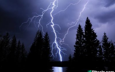 Researcher’s Scathing Lightning Network Analysis Finds Flaws