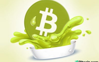 BCH Merchant Directories Now List 4,300 Bitcoin Cash-Accepting Businesses