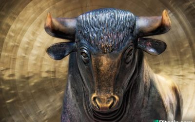 $10K Bitcoin Prompts Influencers to Call a Bull Market