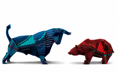 The Bull and Bear Case for Investing in the Top 20 Cryptocurrencies