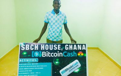 Bitcoin Cash House Ghana Finds Liquidity Provider, Seeks to Partner With Mobile Money Services