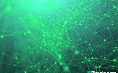 Bitcoin Verde’s New Project Aims to Promote Bitcoin Cash Node Diversity