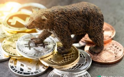 Market Update: Coronavirus Fears, Stock Market Crash, and Bitcoin Price Predictions