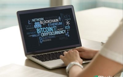 ‘What Bitcoin Did’ – Scanning the Hottest Cryptocurrency Keywords and Google Searches