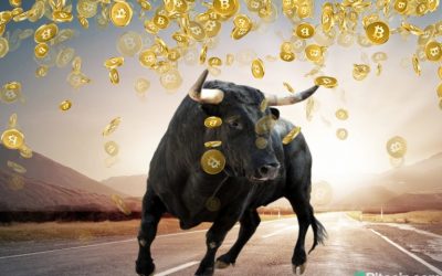 Crypto Bulls Roadshow Coming to Over 15 Indian Cities — With Government Participation