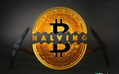 In-Between Bitcoin Halvings: Analyst Proves Bitcoin’s Price Not Bound 4-Year Cycles