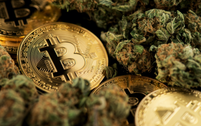 Relm Launches Insurance Coverage for Cryptocurrency and Cannabis Groups in Tough Regulatory Climate