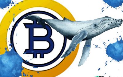 Bitcoin Gold Whale Allegedly Controls Half the BTG Supply