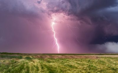 Bitpay Has ‘No Current Plans’ to Support Liquid or the Lightning Network