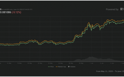 Cardano suffers 4% dip ahead of Shelley testnet launch
