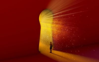 Loophole in U.S. Tax Law Could Allow Bitcoin Traders to Write off Unlimited Losses