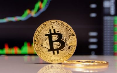 Average Price of Bitcoin More Than Quadrupled Between Reward Halvings