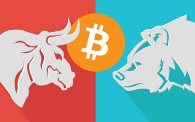 Market Update: Bullish Bitcoin S2F Chart, 6-Digit Prices, Liquidations Prime Crypto Values