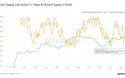 Bitcoin holders keep the faith as price flatlines