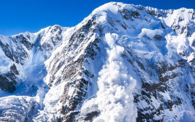 Avalanche Launch Fumbles: ‘A Highly-Sophisticated DDoS Attack Derailed Token Sale’