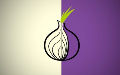 Bitcoin Users Leery of Tor: 23% of the Network’s Exit Capacity Compromised