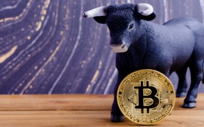 Billion Dollar Public Company Microstrategy Moves $250 Million Into BTC, Says Bitcoin ‘Superior to Cash’