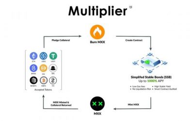 Multiplier DeFi (Beta Release) Targets Tokenized Bonds