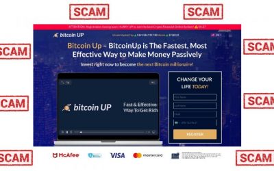 The Tell Tale Signs of a Scam Crypto Website: Bitcoin-Up.Live