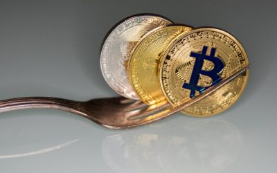 Over 40 Bitcoin Forks Are Down More Than 98% Since 2017’s Forking Fiesta