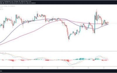 Bitcoin Cash (BCH) defies altcoin dump after Bitcoin nosedives