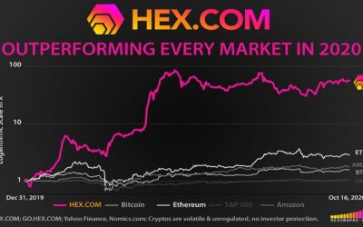 Last Chance to Get Staked $750+ Million HEX Payout November 19th, 2020