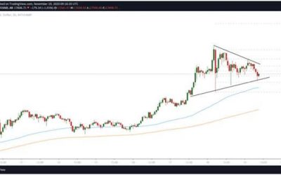 Bulls look to retake $18,000 after 10% fall in BTC price