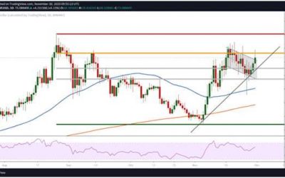 Price Analysis: AAVE bulls target $100