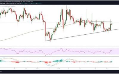 BCH on track for $300 amid growing bullish momentum