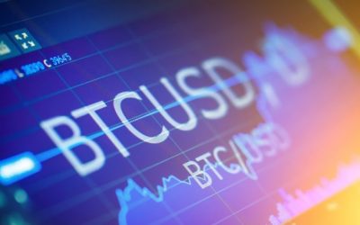 Calling Tops and Bottoms: 2020’s Most Popular Bitcoin Traders and Analysts