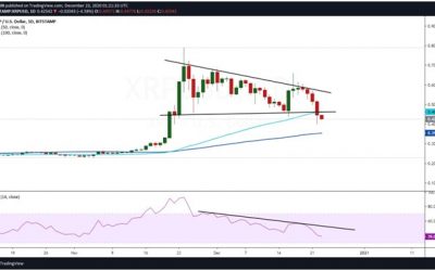 Ripple price dives below crucial support after SEC lawsuit