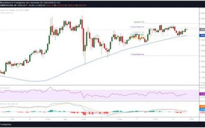 Bitcoin price retests $19,500 but bulls face downward pressure