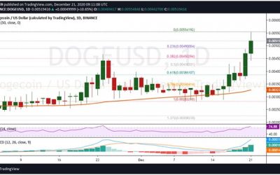 Price analysis: Dogecoin spikes 37% after Elon Musk tweet