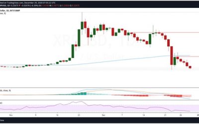 Ripple (XRP) sees 60% fall as major exchanges halt trading