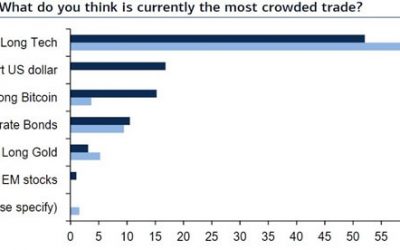 Bitcoin among the most crowded trades in fund manager survey